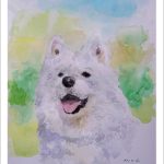 Retrato de un Samoyedo